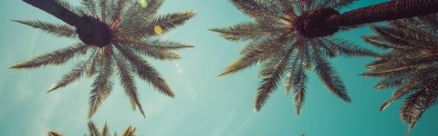 Gambar header OnlyFans wileycoyotexo