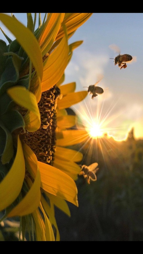 OnlyFans Titelbild wtf_sarah