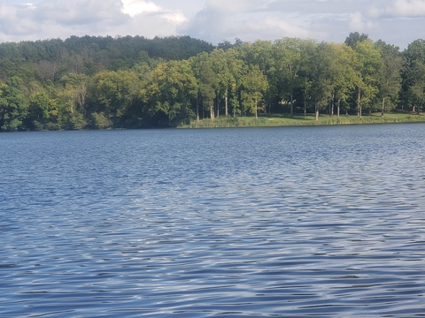 Image d'en-tête OnlyFans wvugirl