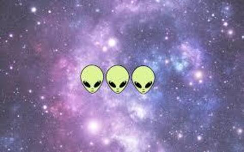 صورة رأس OnlyFans xandrawild