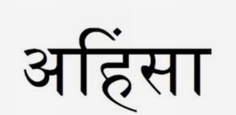 OnlyFans header picture xnicoleanistonx