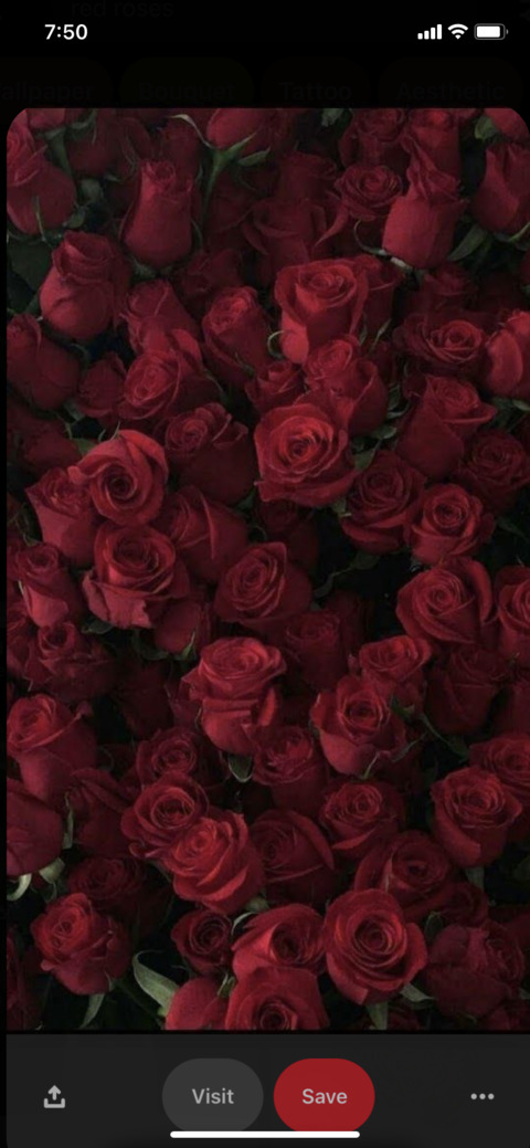 Снимка на заглавието на OnlyFans xo__koko69