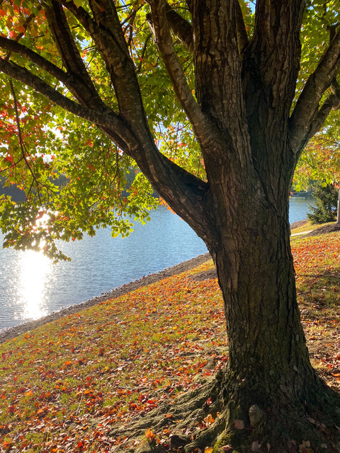 Imagen del encabezado de OnlyFans de xogabby