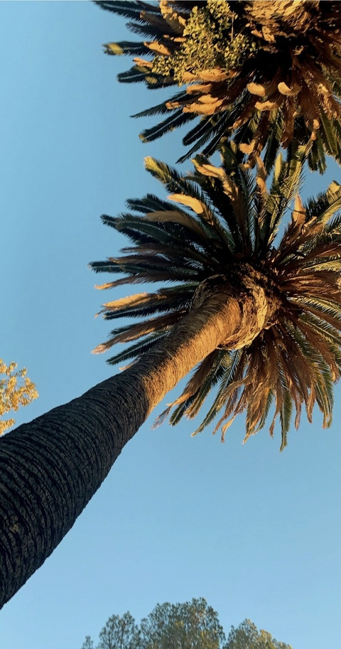 OnlyFans header picture xoskyexo