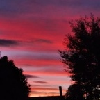 Снимка на профила в OnlyFans за yarella