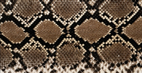 Снимка на заглавието на OnlyFans yissellcl