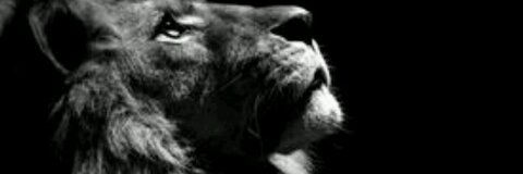 صورة رأس OnlyFans youngandgifted69