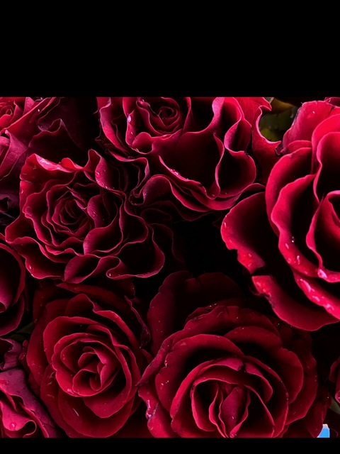 Снимка на заглавието на OnlyFans your_eva