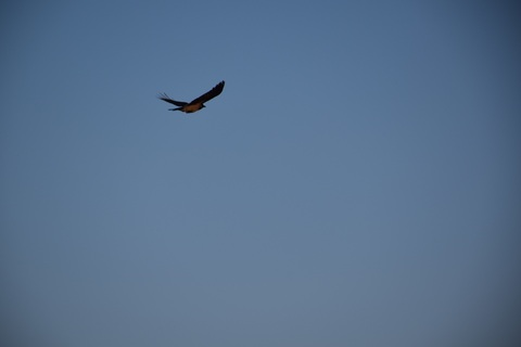 Obraz nagłówkowy OnlyFans #nazwa_użytkownika#