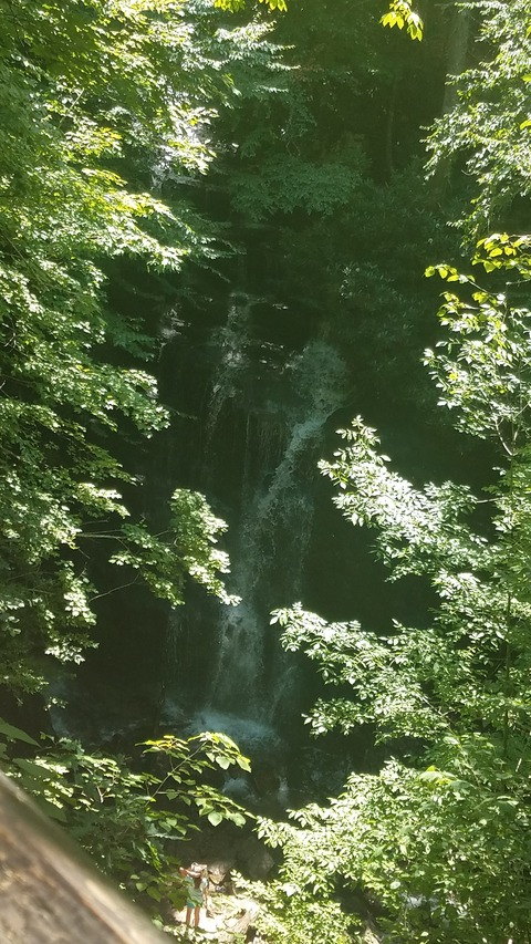 Снимка на заглавието на OnlyFans yummibella