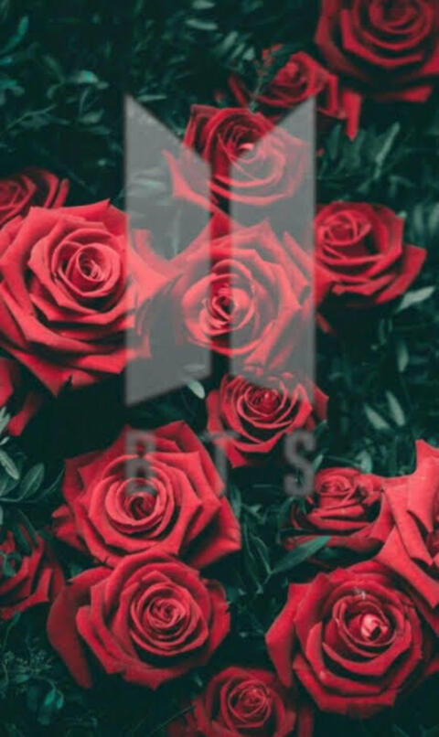 ओनलीफैंस हेडर चित्र zafirplayboy000