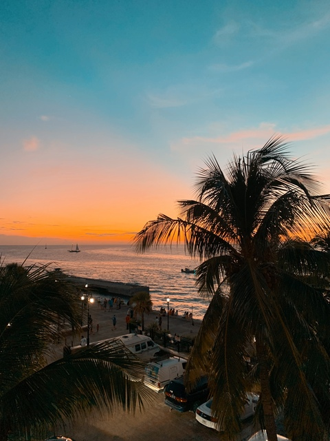 AlleenFans hoofdafbeelding zoewildxx